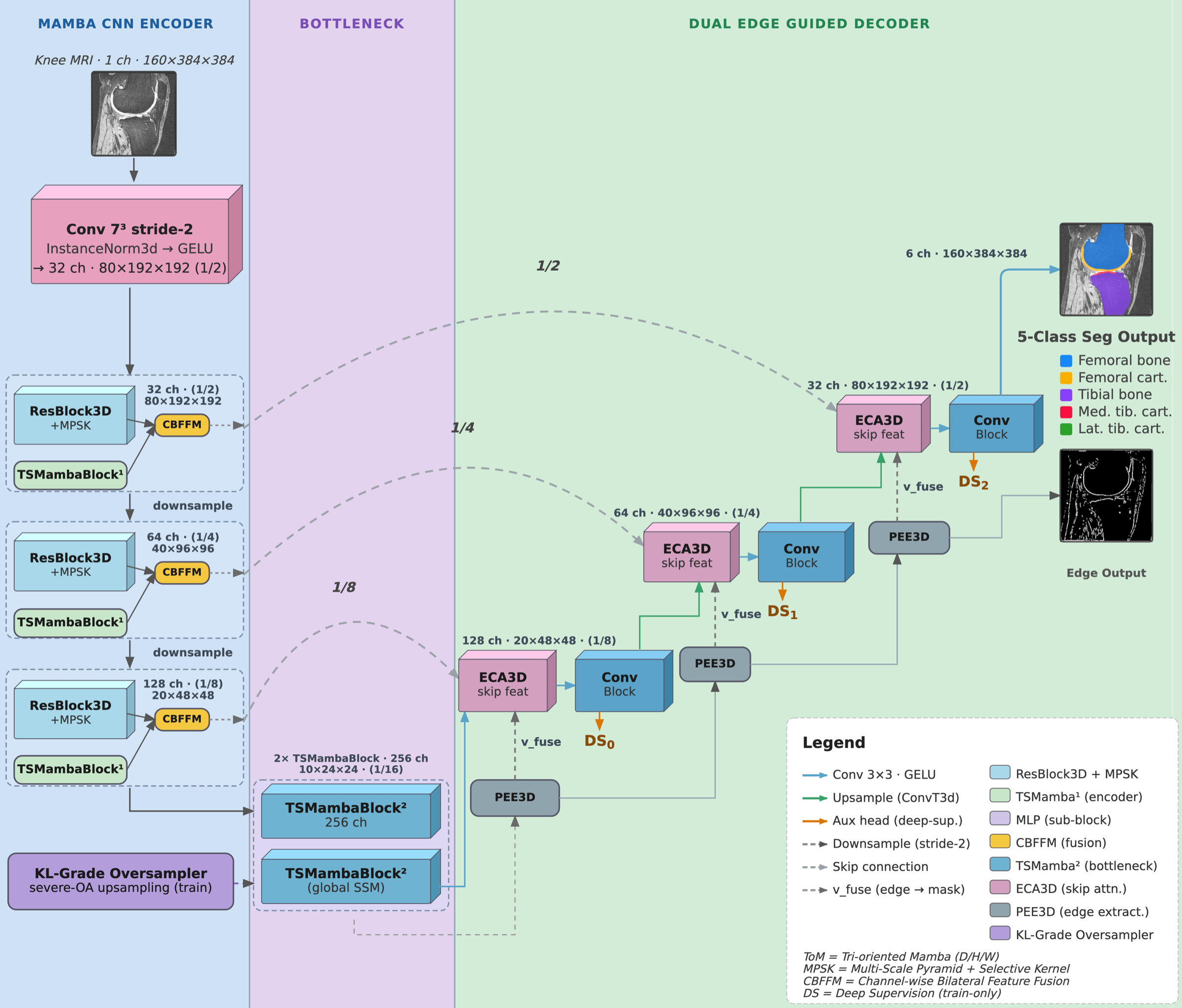 MBEDNet architecture: a Mamba-CNN encoder with parallel ResBlock3D+MPSK and TSMambaBlock branches fused by CBFFM, a two-block TSMamba bottleneck, and a dual decoder in which a PEE3D edge stream is injected into an ECA3D-gated mask stream at every level.